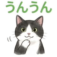 普通の猫たちの日常