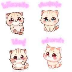 A very cute and social media-savvy cat.