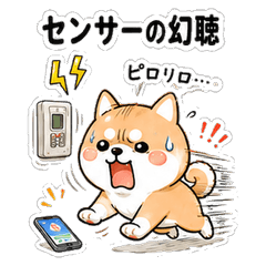 柴犬介護士の悲哀40 介護現場のリアル