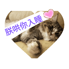 Tolo_2019060722103686