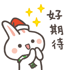 Cute rabbit PoPo-Christmas Celebration