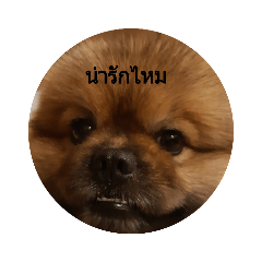 Cartoon_20210420142302