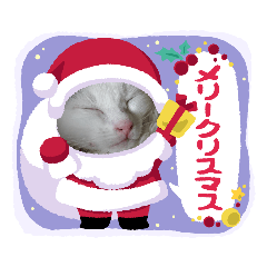 R&G保護猫スタンプクリスマスバージョン