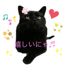 愛しの黒猫ミーちゃんスタンプ♡