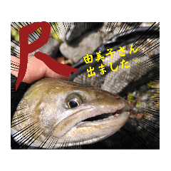 魚真さん　の　渓流釣り　　伍の巻