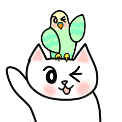 cat chirotan & parakeet pipi