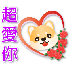 Cute Shiba - Practical greeting  sticker