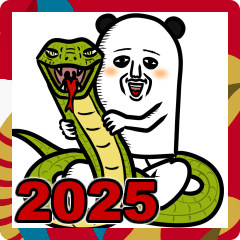 パンダおっさん2025