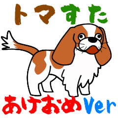 Cavalier tomacoro stamp Big Pic04