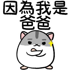 Hamster Rice Ball 17-I am a father