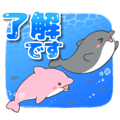 3色イルカと過ごす毎日