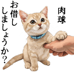 この惑星を支配する猫_2_敬語