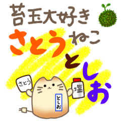 テンション高めの苔玉好き猫たち