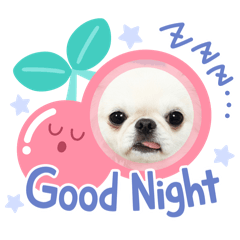 ポム太郎の日常3