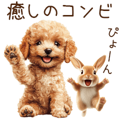 癒しのコンビ★うさぎ＆トイプードル
