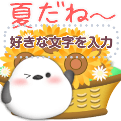 シマエナガ/メッセージ花束/夏のひまわり4