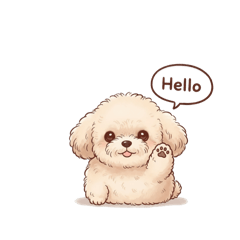 #プードルで日常