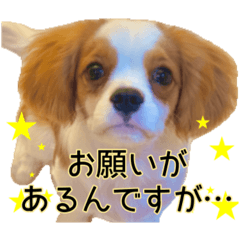 ウィル君詰め合わせ②