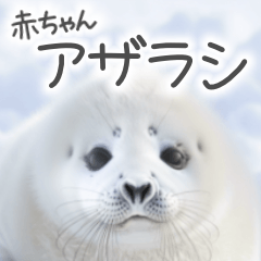 赤ちゃんアザラシのスタンプ【毎日使える】
