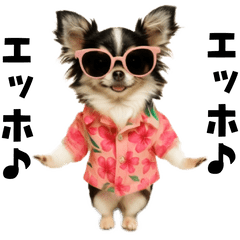 エッホエッホチワワ