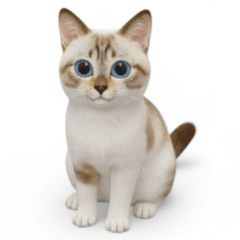 Little Honey the Cat