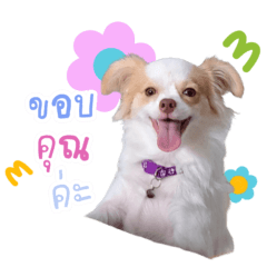 Ikkyu Narak Bang Ton ft. nong nong