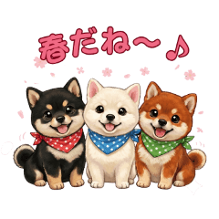 柴犬3匹の毎日使える春スタンプ