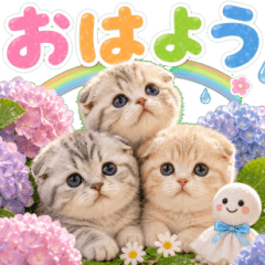 飛び出す♡雨の日にゃんこ