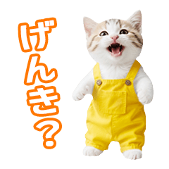 ネッコたんの日常スタンプ