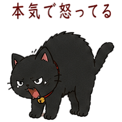 おこりたいときのゆる黒猫3