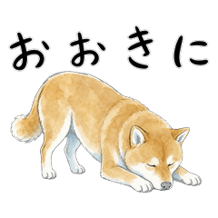 京都弁のしば犬【はんなり・おおきに】