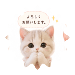 丁寧な言葉使うのネコ