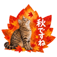 秋色猫のやさしい敬語