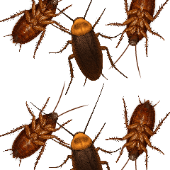 Cockroach 3 Mix : Pop-up stickers