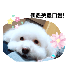 Alice Huang_20190725171613