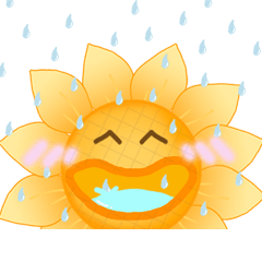 TeeRuk Sunflower : Rainy day