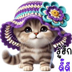 Cute cat American Shorthair V.4