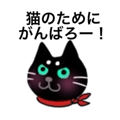 猫が大好きだ！