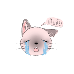 Zora_cat_20250405210100