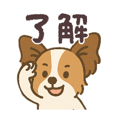 パピヨン(りん)と祖母の家族連絡