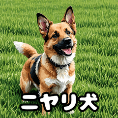 犬のシェパード表情スタンプ