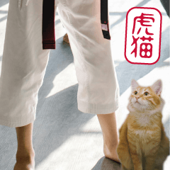 子猫の空手家、タビーちゃん