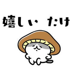 秋をまとうネコたち