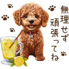トイプードルのやさしい気づかい冬スタンプ