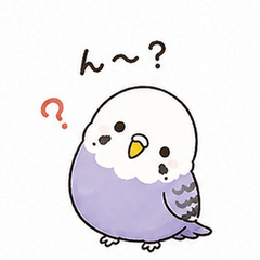 Fluffy Budgerigar 2