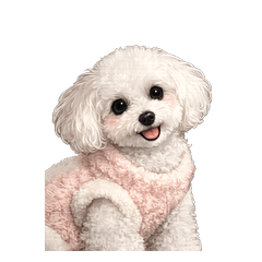 White Toy Poodle Greetings  Pack