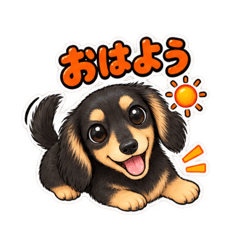 ダックスフント 愛犬