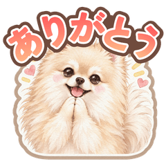 水彩ポメラニアン クリームセーブル