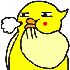 Life of yellow chicks