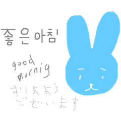 Baby blue rabbit 韓国